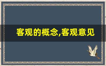 客观的概念,客观意见是什么意思