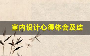 室内设计心得体会及结论