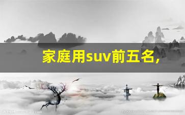 家庭用suv前五名,适合女生开的suv车