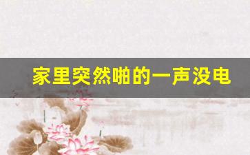 家里突然啪的一声没电了没跳闸,听到砰的一声然后就停电