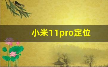 小米11pro定位