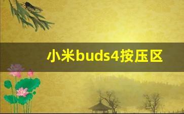 小米buds4按压区域,redmibuds4充满电指示灯