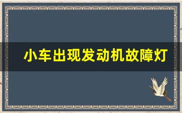 小车出现发动机故障灯怎么办