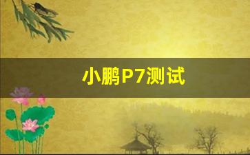 小鹏P7测试