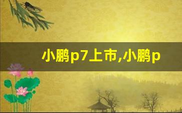 小鹏p7上市,小鹏p7哪里生产的