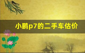 小鹏p7的二手车估价,小鹏p7值得购买吗