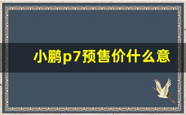 小鹏p7预售价什么意思,预售价