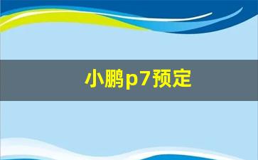 小鹏p7预定