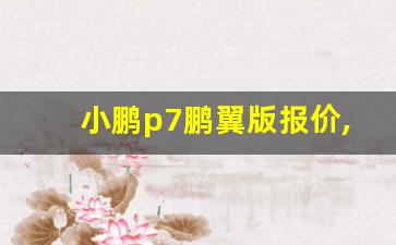 小鹏p7鹏翼版报价,小鹏纯电动汽车图片及报价