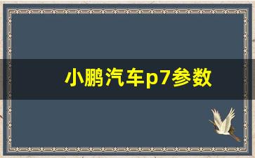 小鹏汽车p7参数