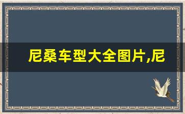 尼桑车型大全图片,尼桑8万左右自动挡