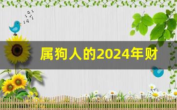 属狗人的2024年财运,2024年属狗的命运