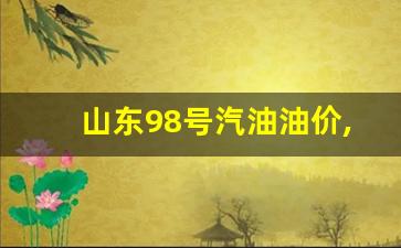 山东98号汽油油价,中石化98汽油多少一升