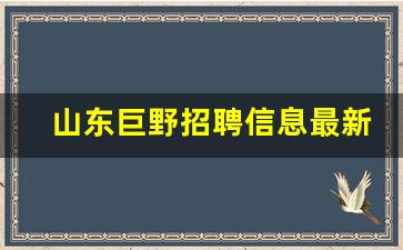 山东巨野招聘信息最新,山东省菏泽市巨野县招聘信息