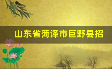 山东省菏泽市巨野县招聘信息