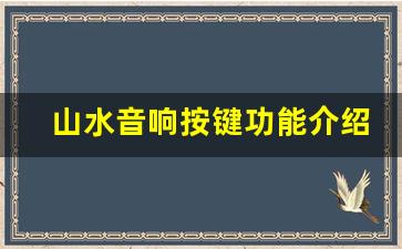 山水音响按键功能介绍,山水音响按键使用说明