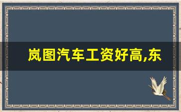 岚图汽车工资好高,东风岚图底薪多少