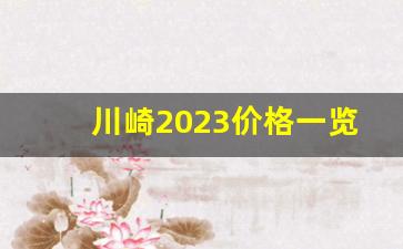 川崎2023价格一览表,5万元以下最帅重机车