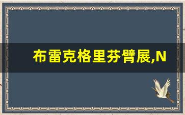 布雷克格里芬臂展,NBA球员臂展超短的5名球员