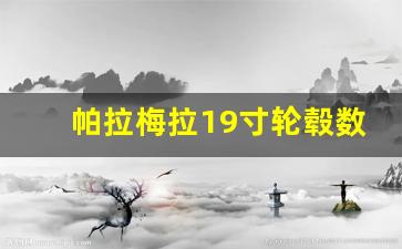 帕拉梅拉19寸轮毂数据,帕拉梅拉20寸turbo轮毂