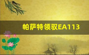 帕萨特领驭EA113耐用吗