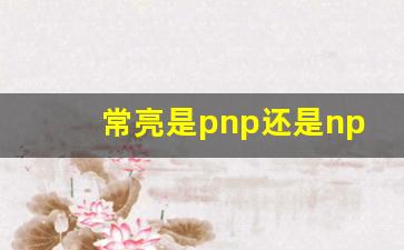 常亮是pnp还是npn,怎样判断是npn还是pnp