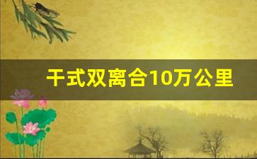 干式双离合10万公里必坏吗,干式双离合暴雨行车