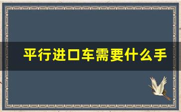 平行进口车需要什么手续