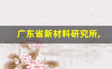 广东省新材料研究所,广东省建筑材料研究院有限公司