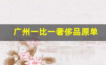 广州一比一奢侈品原单货源,一件代发48个货源网站