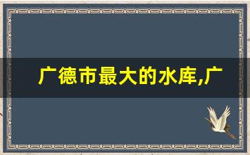 广德市最大的水库,广德市水利局145规划