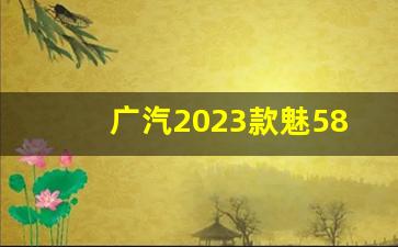 广汽2023款魅580热风费电吗,广汽魅580多少度电