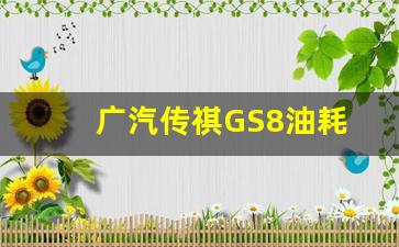 广汽传祺GS8油耗