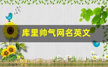 库里帅气网名英文