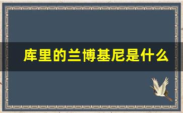 库里的兰博基尼是什么车,库里男车图片大全多少钱