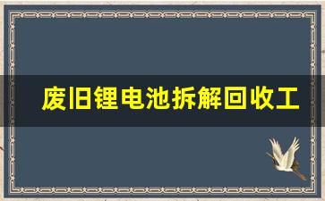 废旧锂电池拆解回收工艺,拆卸锂电池需要注意什么