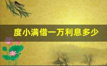 度小满借一万利息多少,实在没地方借钱了怎么办