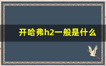 开哈弗h2一般是什么人