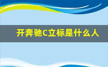 开奔驰C立标是什么人,奔驰14万左右新车