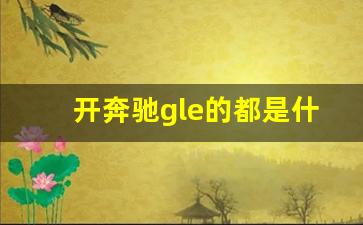 开奔驰gle的都是什么人,奔驰gle的级别分类