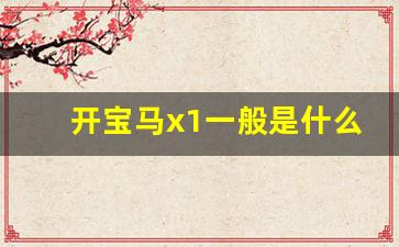 开宝马x1一般是什么人,宝马x1一般人养得起吗