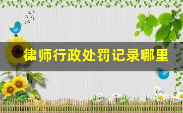 律师行政处罚记录哪里查询,行政案件怎么查询