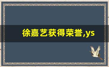 徐嘉艺获得荣誉,ysl设计师徐嘉艺