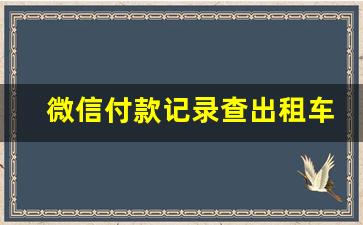 微信付款记录查出租车车牌号,武汉出租车车牌号查询