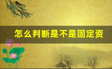 怎么判断是不是固定资产,固定资产的认定标准