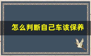 怎么判断自己车该保养了,车子一年没保养,不经常开