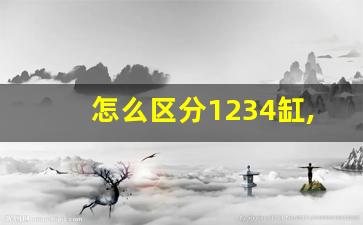 怎么区分1234缸,气缸失火怎么修