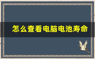 怎么查看电脑电池寿命