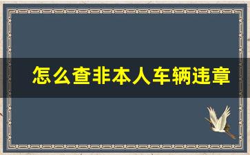 怎么查非本人车辆违章查询信息