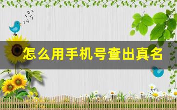 怎么用手机号查出真名,手机号查对方全部信息